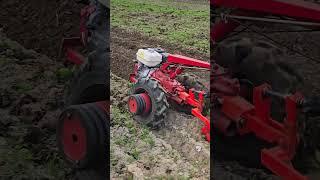 Пашет поле мотоблок МТЗ Беларус #агротехнологии #farming #agriculture
