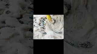 Rug Cleaning ASMR #asmrcleaning #satisfying #rugcleaning