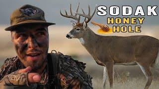 We FOUND a HONEY HOLE!! (Bowhunting South Dakota)