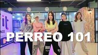 [ILOVEDANCE]  Perreo 101  /  Wisin, Yandel  /  CINDY  /  S-FIT DANCE / dance workout