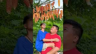 FunFun TV: Challenge Corn eating  
