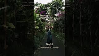 Eco Luxury Stay in Bali | Munduk Moding Plantation