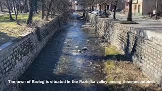 Razlog Bulgaria