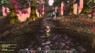 A Lost Companion Quest - World of Warcraft