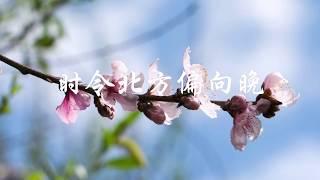 January – Reunion  壹月 · 重逢