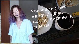 Как учить язык понемногу каждый день