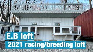 2021 racing/breeding pigeon loft setup