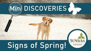 Signs of Spring - Mini Discoveries