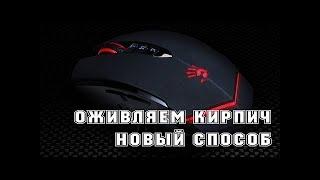 Восстановление мышки Bloody после обновления