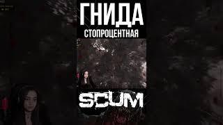 СТОПРОЦЕНТНАЯ ГНИДА #scum #pvp #survival #shorts #выживание #stream #gnida