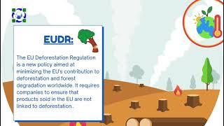 Who is Impacted by the EU Deforestation Regulation (EUDR) 2024?