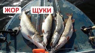 Троллинг. Ловля щуки троллингом. Осенний жор щуки.