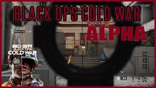 PC Player on Black Ops Cold War Alpha PS4 || I'm still goated on controller lol
