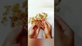 How to make Bonsai Tree using Wire & Old Bangles | Golden Bonsai Tree | Mini Bonsai Tree | #shorts