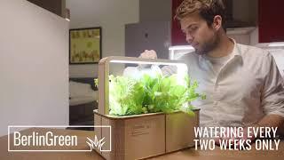 Berlin GreenBox   Automated Indoor Plantation Unit