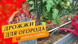 Дрожжевая подкормка для...