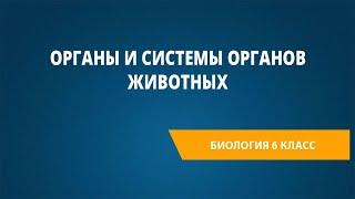 Органы и системы органов животных