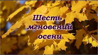 Шесть мгновений осени