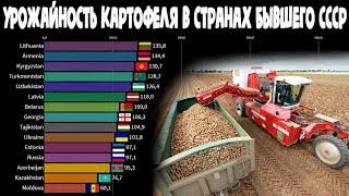 Урожайность картофеля в странах бывшего СССР (СНГ, Прибалтика) | Рейтинг стран по урожаю с 1 гектара