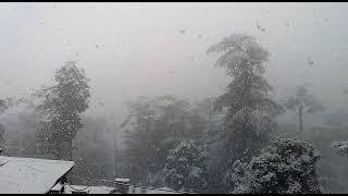 Shimla Snowfall 4 Feb 2021