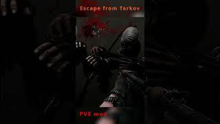 PVE mod ON xD - Escape from Tarkov