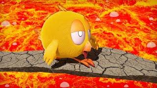 Where's Chicky? Funny Chicky 2022  THE FLOOR IS LAVA | Chicky Cartoon in English for Kids