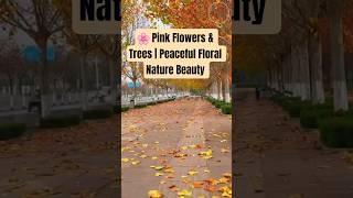  Pink Flowers & Trees | Peaceful Floral Nature Beauty by NaturalBeauty349