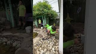 FOUNTAIN + KOI POND REVIVAL