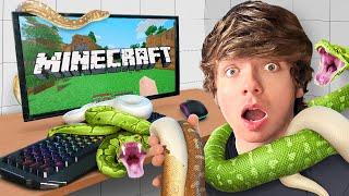 Я Прошел Minecraft в Комнате Полной Змей