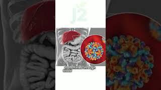 Hepatitis Made Simple | Causes, Symptoms & How to Prevent It