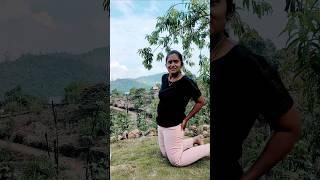  Ada paavi  Aiyoo...  pullu kuttuthu  #shorts #trending #couple #comedy #kitchimp