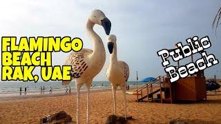 FLAMINGO BEACH RAS AL KHAIMAH || BIN MAJID OPEN BEACH