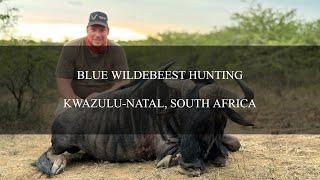 Blue Wildebeest Hunting with Safari Quest Outfitters