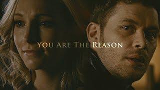 ►Klaus & Caroline | You Are The Reason