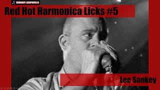 Blues Harmonica Lesson - Red Hot Harmonica Licks #5 - Lee Sankey