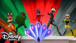 Miraculous Ladybug | All the Transformations So Far!  | Disney Channel UK