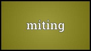 Miting Meaning