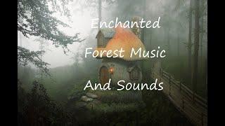 DARK WHIMSICAL AMBIENT MUSICENCHANTED FOREST AND NATURE SOUNDS, OWL, WOLF HOWLING