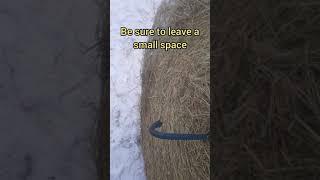 Moving a large round hay bale with a single draft horse