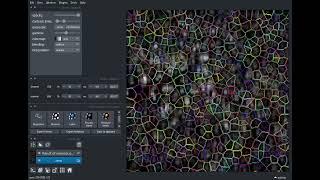 Real-time image segmentation of cells