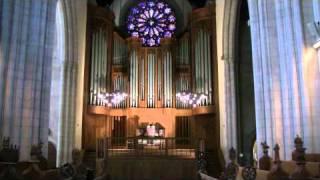 Chris Houlihan '09 Trinity Fight Song Rendition