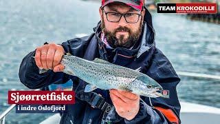 Seatrout fishing in the Oslofjord