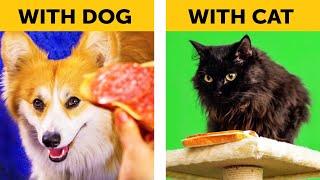 LIFE WITH DOG VS LIFE WITH CAT. Corgi life || Relatable facts by 5-Minute FUN