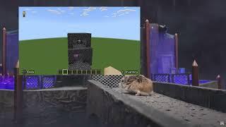 major hamster and findaer vs cat dr max ep 2 the major's cheese