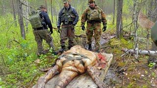 These Rangers Can’t Explain What Was Found In The Middle Of The Woods