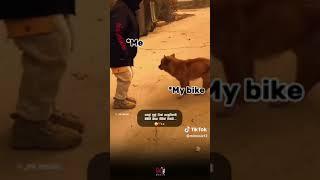 #viral #tiktok #viraovideo