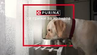 Безброй възможности с Purina® Bulgaria и Фондация "Очи на четири лапи"