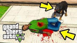 МОЖЕТ ЛИ ЧОП УБИТЬ ИЛИ АТАКОВАТЬ ЛАМАРА?  ЧТО ОН ДЕЛАЕТ?! (GTA 5)