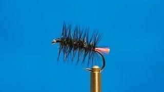 Fly Tying - Red Tag Palmer