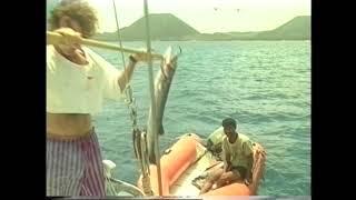 Sailing boat Sara sails to the Hamish Islands in Yemen